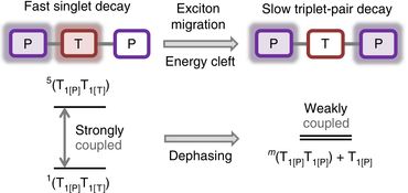 Towards entry "Nature chemistry article co-authored by Daniel Niesner"