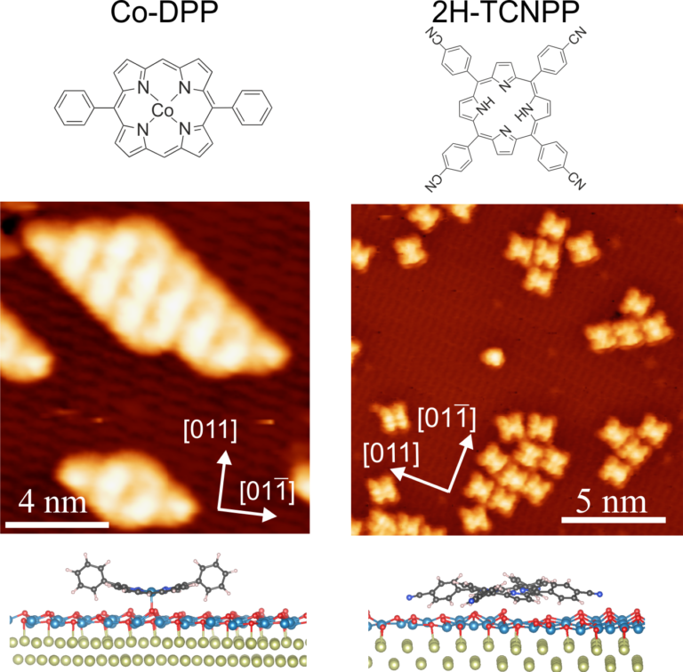Adsorption and self-assembly of porphyrins on ultrathin cobalt oxide films