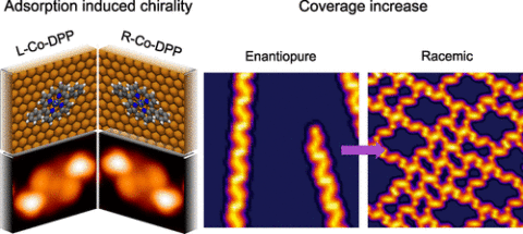 Towards entry "Coverage induced switching of chirality in surface self-assemblies of prochiral molecules"