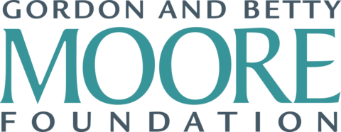 Towards entry "Prof. Fausti Receives Prestigious Grant for Pioneering Study on Non-Equilibrium Thermodynamics of light-matter Hybrids"