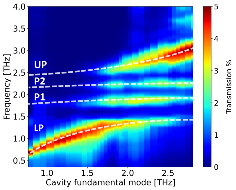 Multimode vibrational coupling across the insulator-to-metal transition in 1T-TaS2 in THz cavities