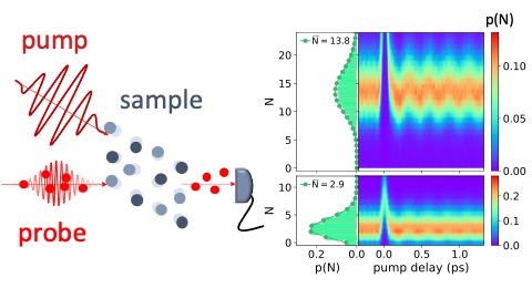 Towards entry "Turning noise into insight: Ultrafast pump-probe phase-randomized tomography"