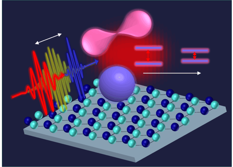 Dark exciton dynamics revealed in single-layer tungsten disulfide